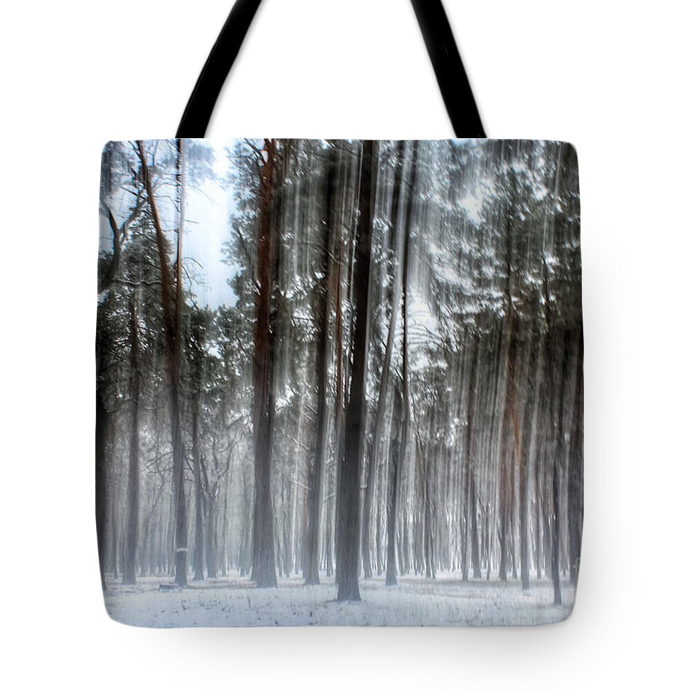Tree Tote Bag featuring the photograph Winter light in a forest with dancing trees by Iryna Liveoak
