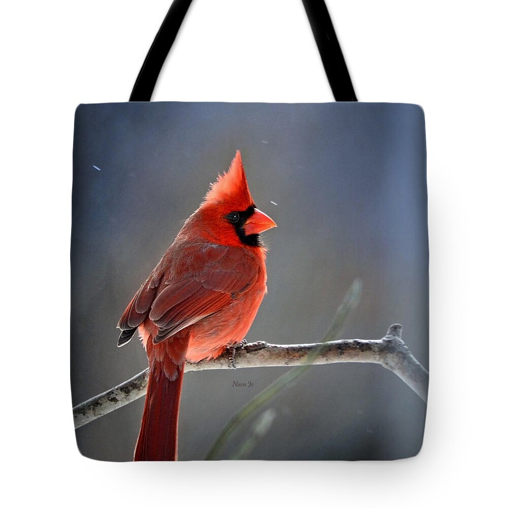 Nature Tote Bag featuring the photograph Winter Morning Cardinal by Nava Thompson