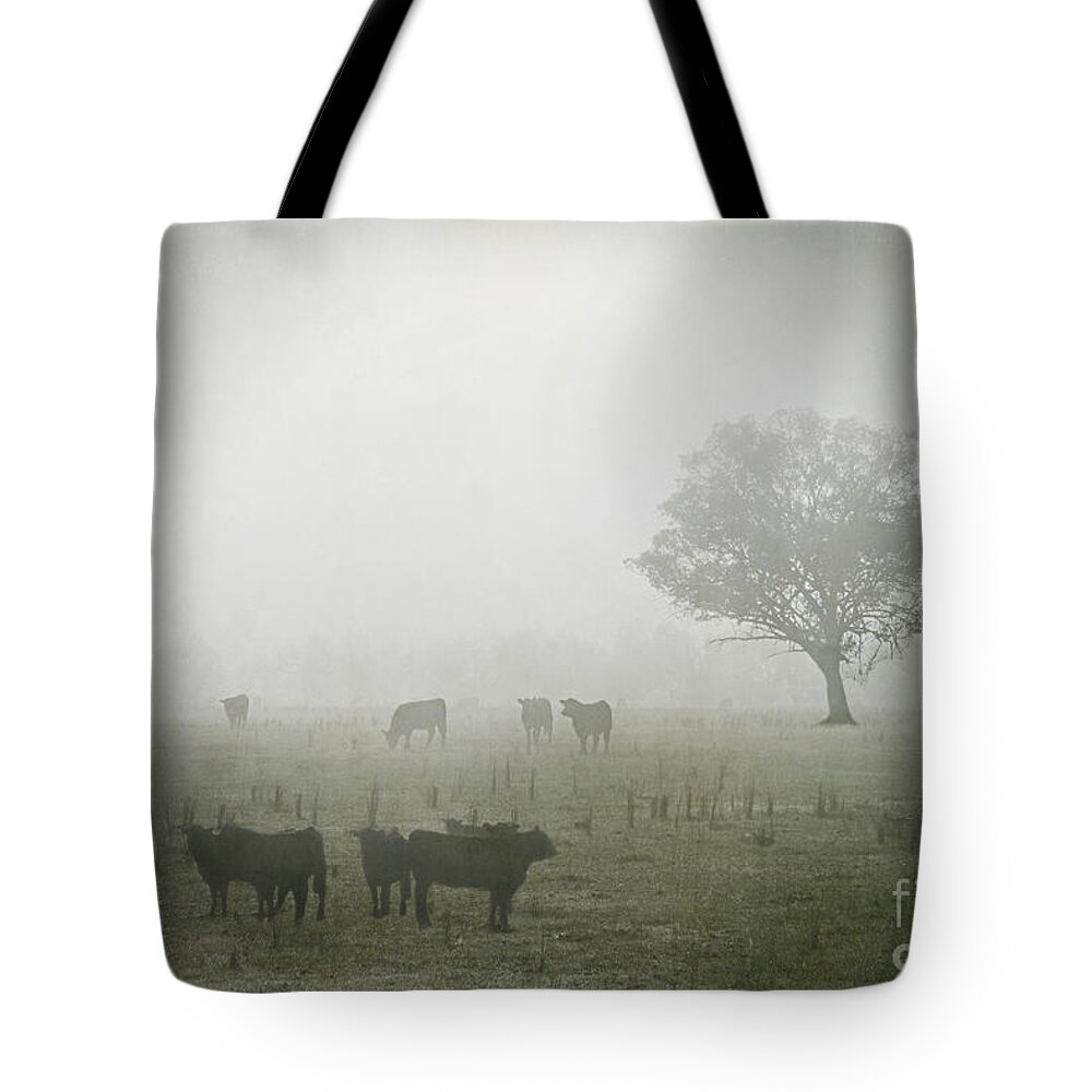 Winter Tote Bag featuring the photograph Winter Morning Londrigan 5 by Linda Lees
