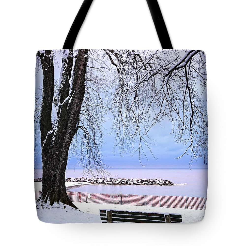 Winter Tote Bag featuring the photograph Winter park in Toronto 2 by Elena Elisseeva