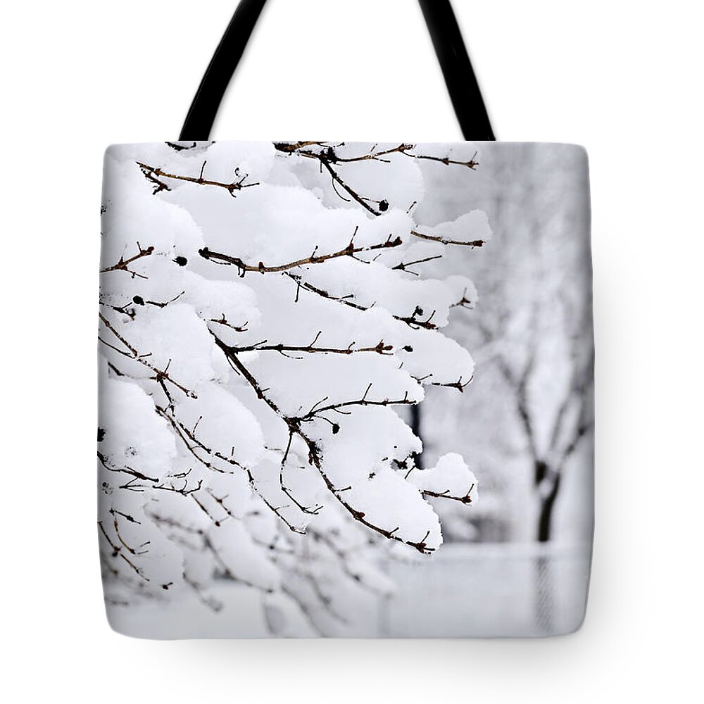 Winter Tote Bag featuring the photograph Winter park under heavy snow by Elena Elisseeva