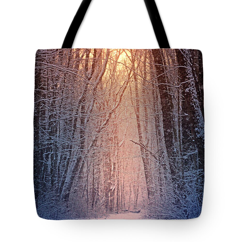 #winter Tote Bag featuring the photograph Winter Pathway by Rob Blair