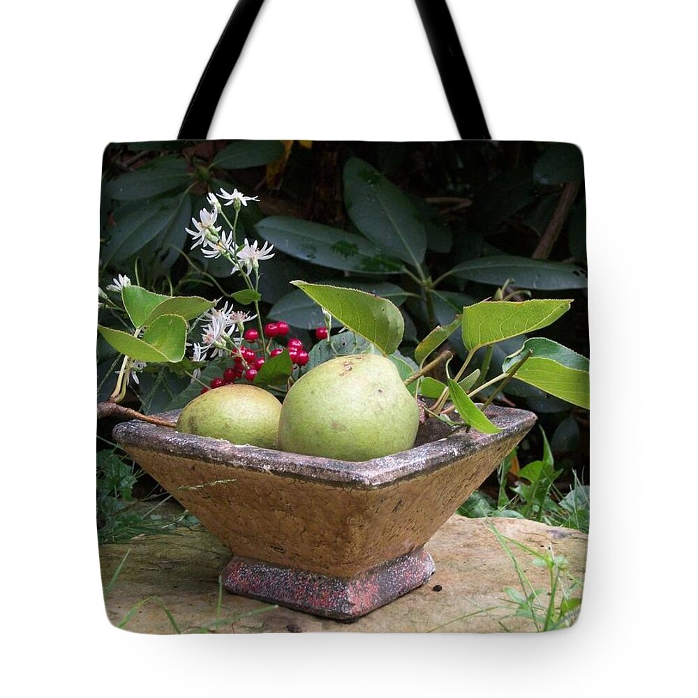 Pears Tote Bag featuring the photograph Winter Pears by Dani McEvoy