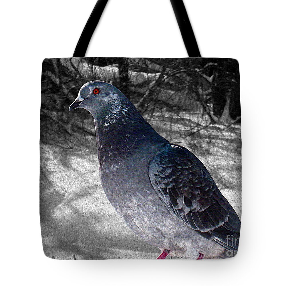 Pigeon Tote Bag featuring the photograph Winter Pigeon by Nina Silver