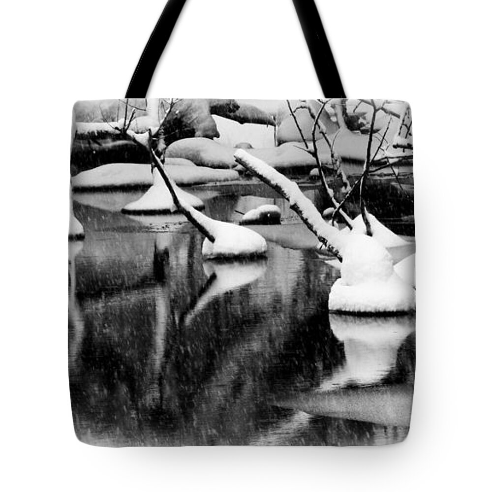 Winter Tote Bag featuring the photograph Winter Reflection by Roger Bailey