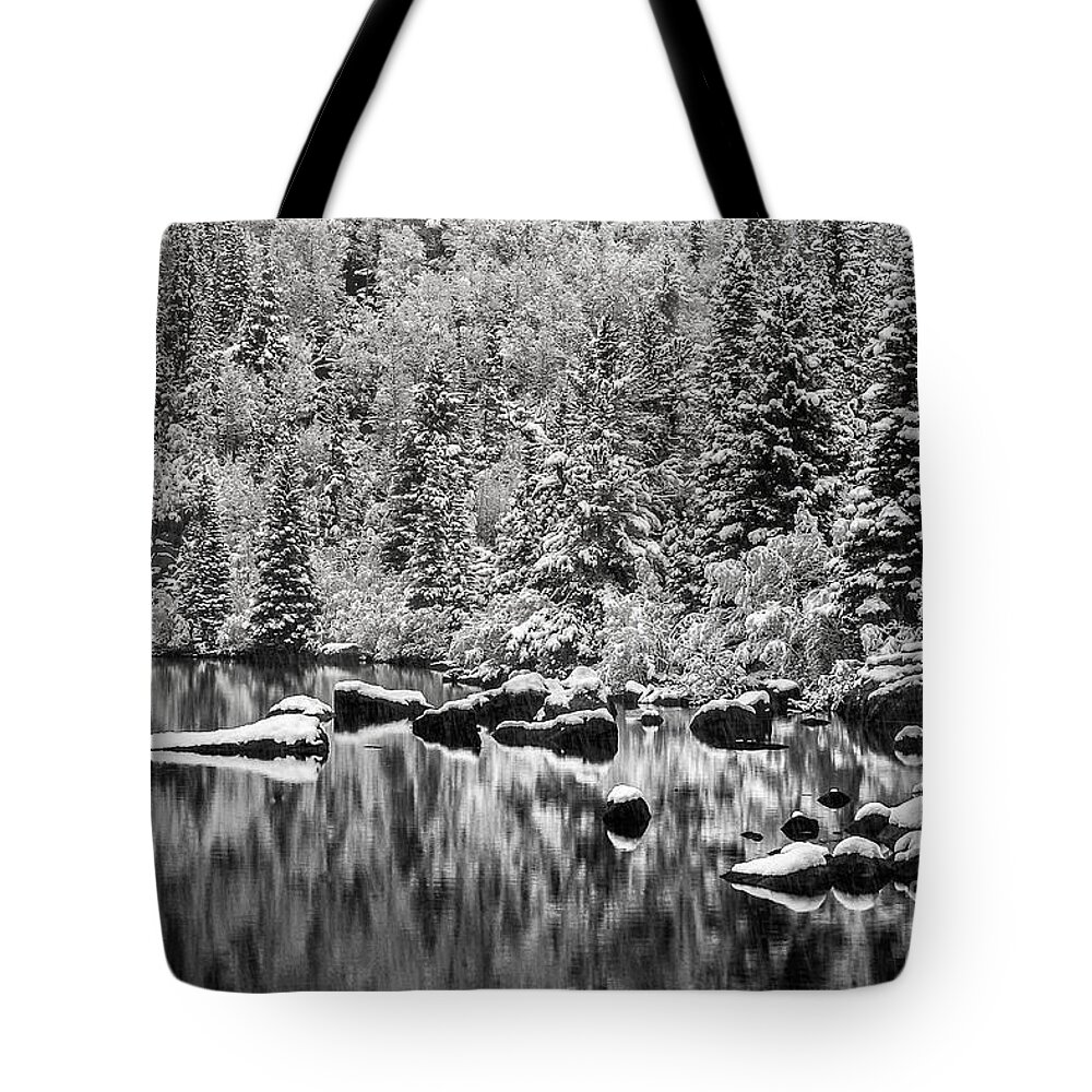 Nature Tote Bag featuring the photograph Winter Reflection by Steven Reed