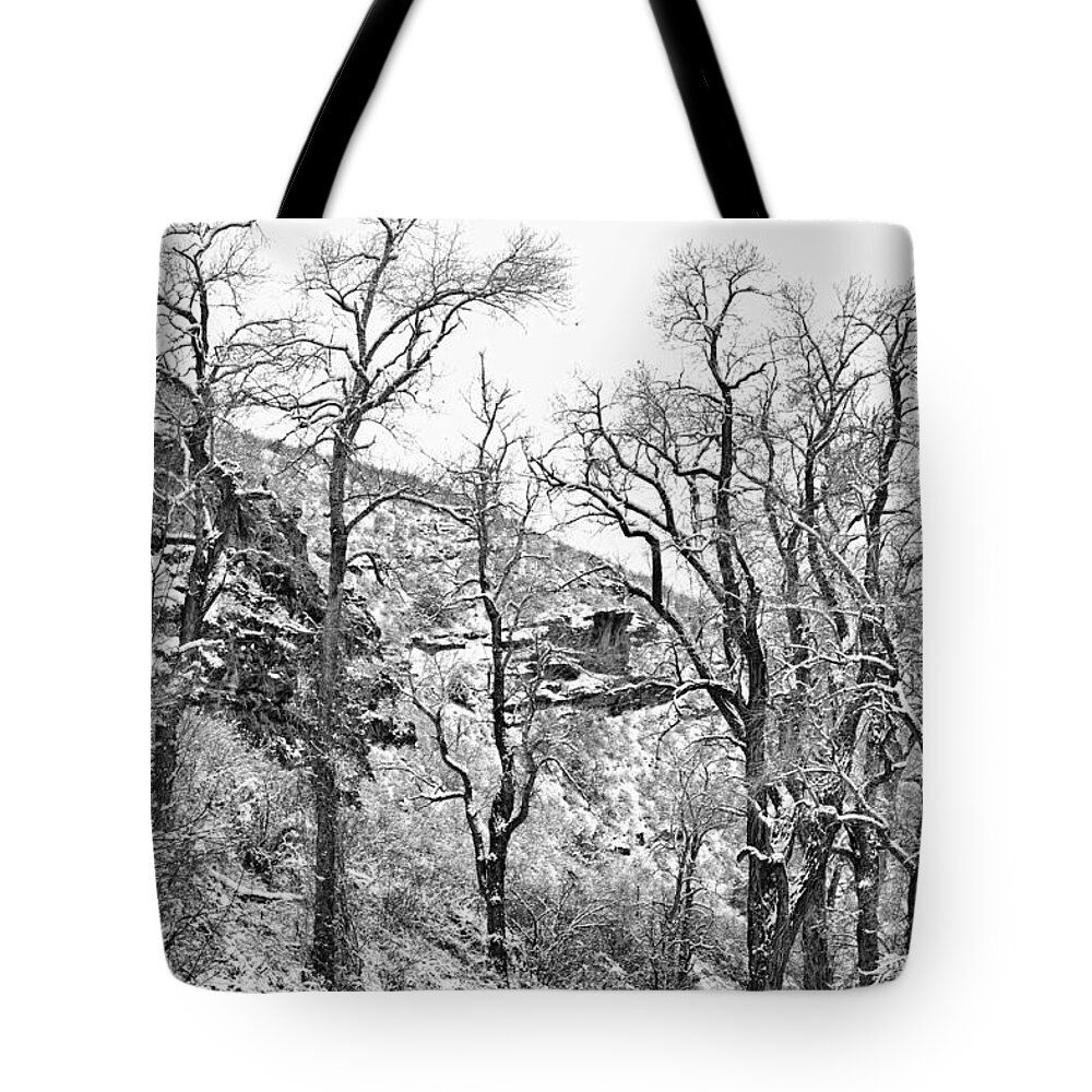 Trees Tote Bag featuring the photograph Winter Road Black and White by James BO Insogna