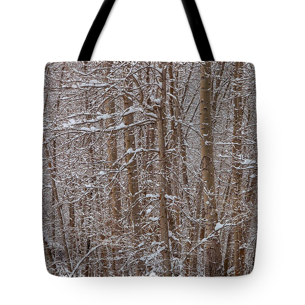 Landscape Tote Bag featuring the photograph Winter Scene by Jonathan Nguyen