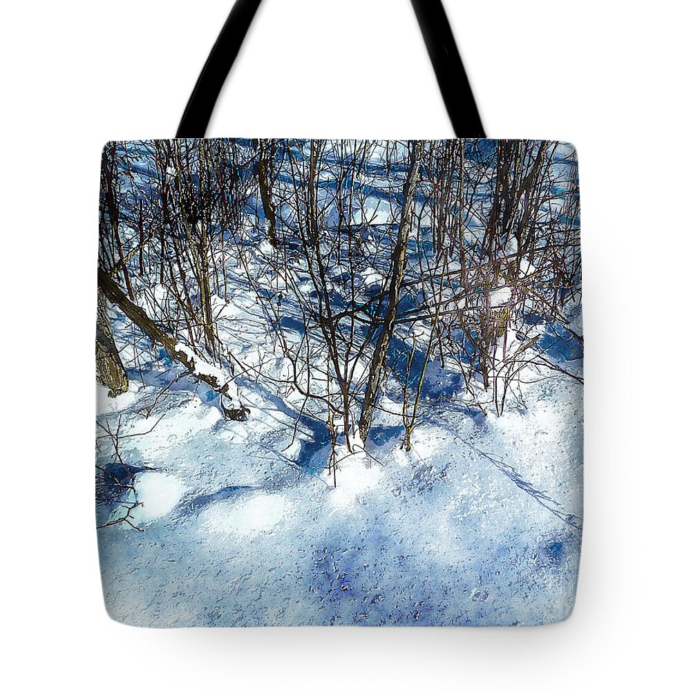 Winter Tote Bag featuring the photograph Winter Shadows by Claire Bull