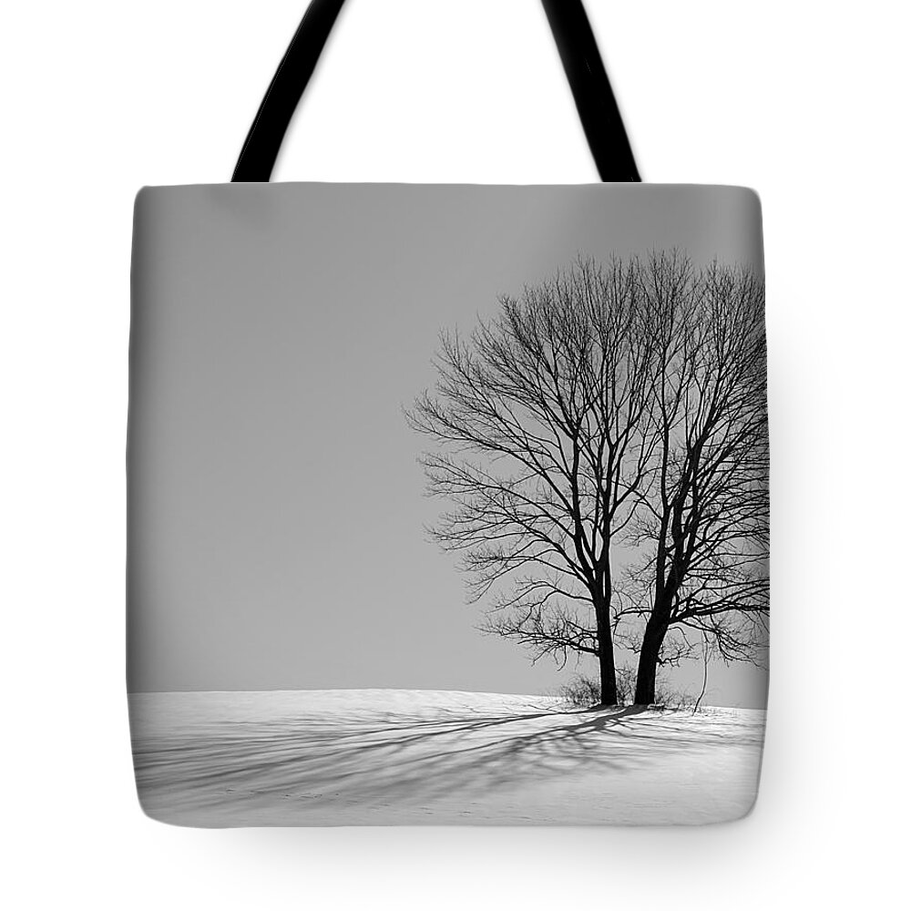Winter Tote Bag featuring the photograph Winter - Snow Trees 2 in Mono by Richard Reeve