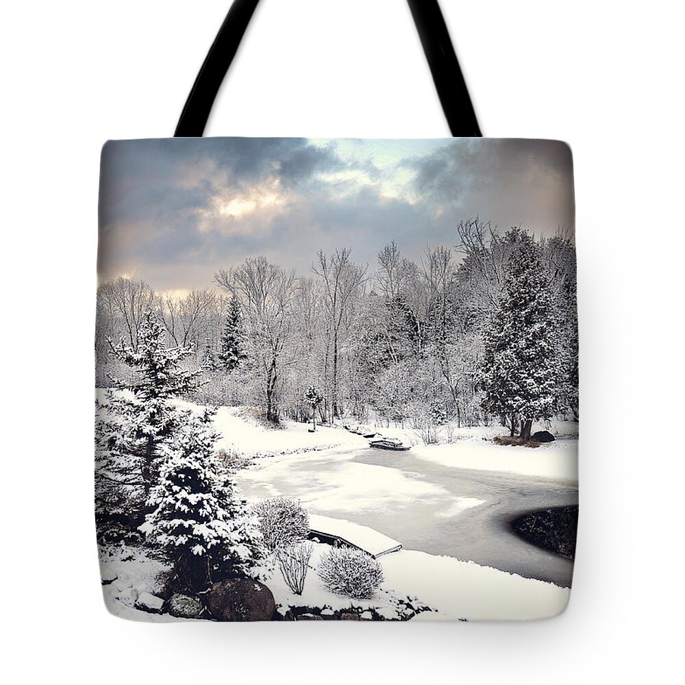 Winter Wonderland Picture Tote Bag featuring the photograph Winter Solace by Gwen Gibson