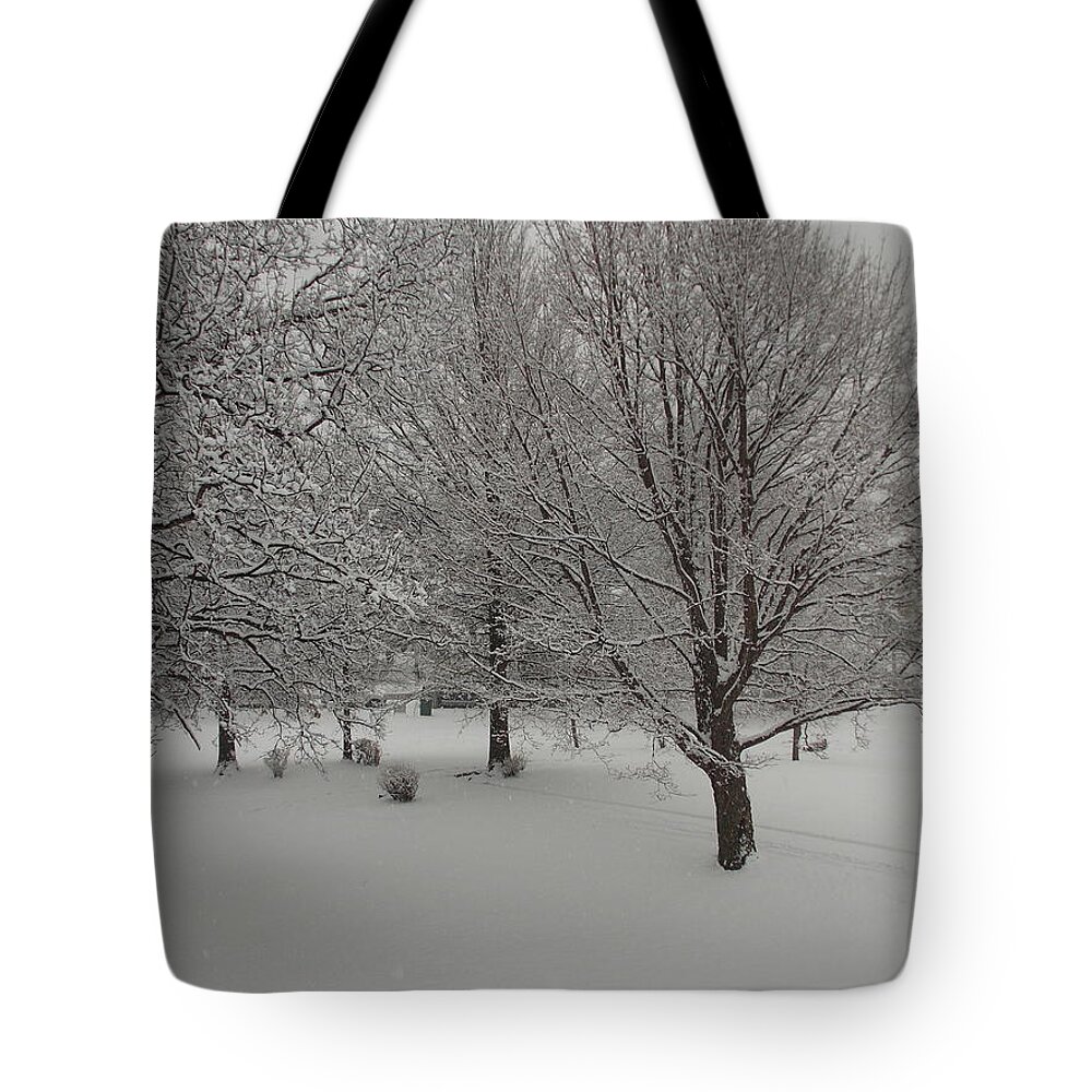 Malden Tote Bag featuring the photograph Winter Solitude by Catherine Gagne