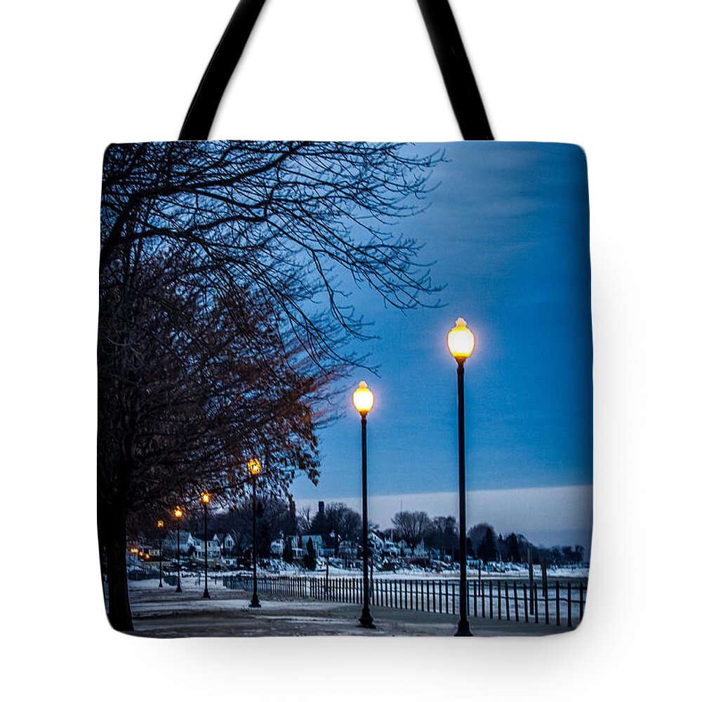 Winter Scene Tote Bag featuring the photograph Winter Stroll by Sara Frank