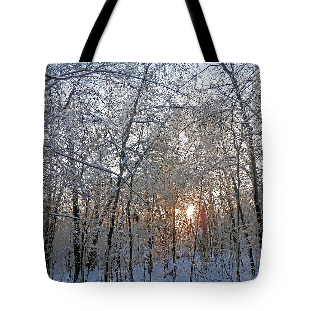 Sunset Tote Bag featuring the photograph Winter Sunset by Pema Hou