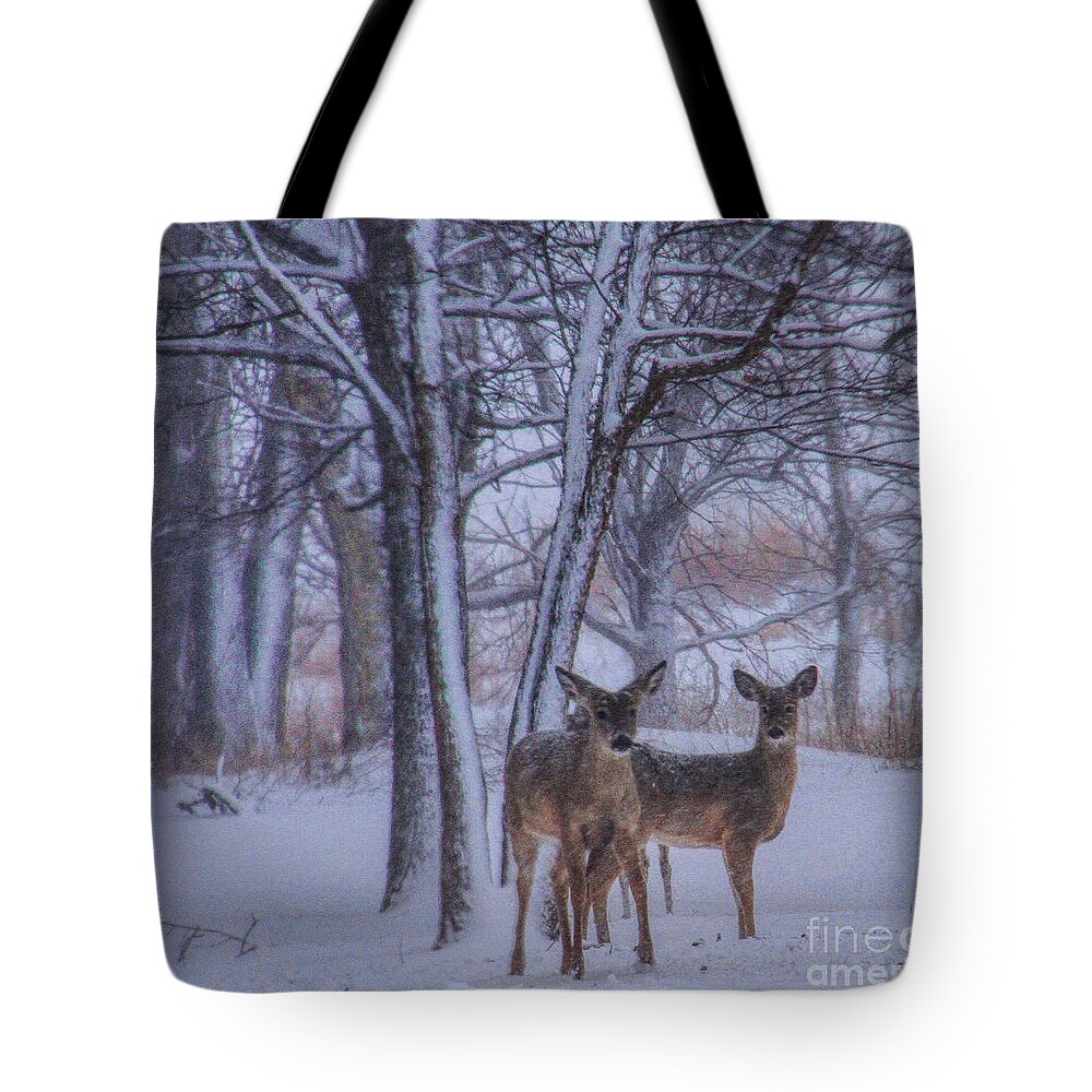 Deer Tote Bag featuring the photograph Winter Survival by Elizabeth Winter