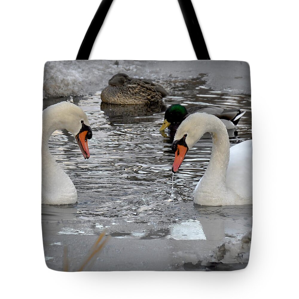 Swan Tote Bag featuring the photograph Winter Swans by Gary Keesler