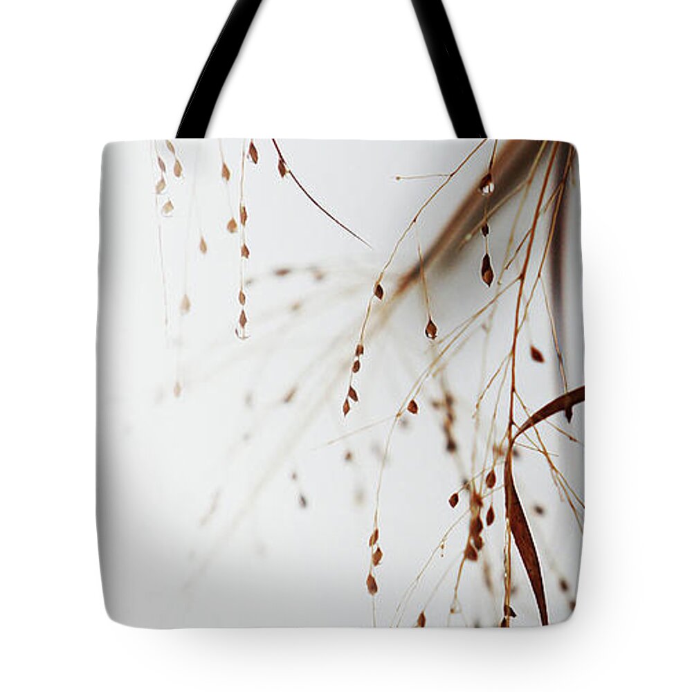 Winter Tote Bag featuring the photograph Winter Tears - 1 by Linda Shafer