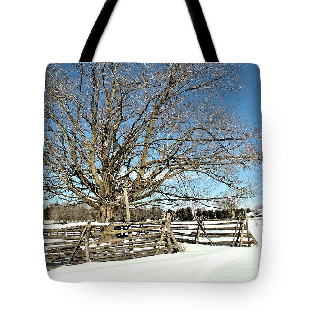 Landscape Tote Bag featuring the photograph Winter Tree and Fence by Valerie Kirkwood