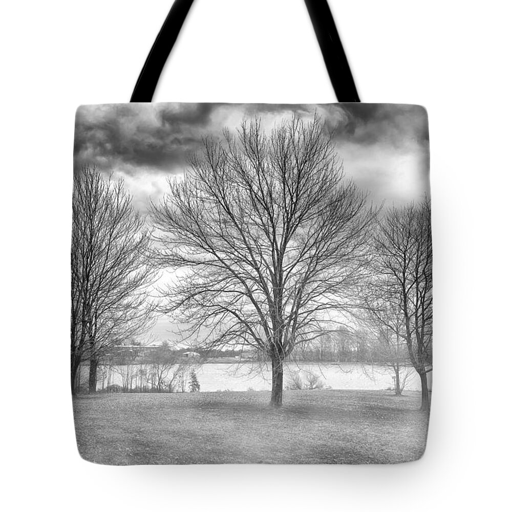Nature Tote Bag featuring the photograph Winter Trees by Howard Salmon