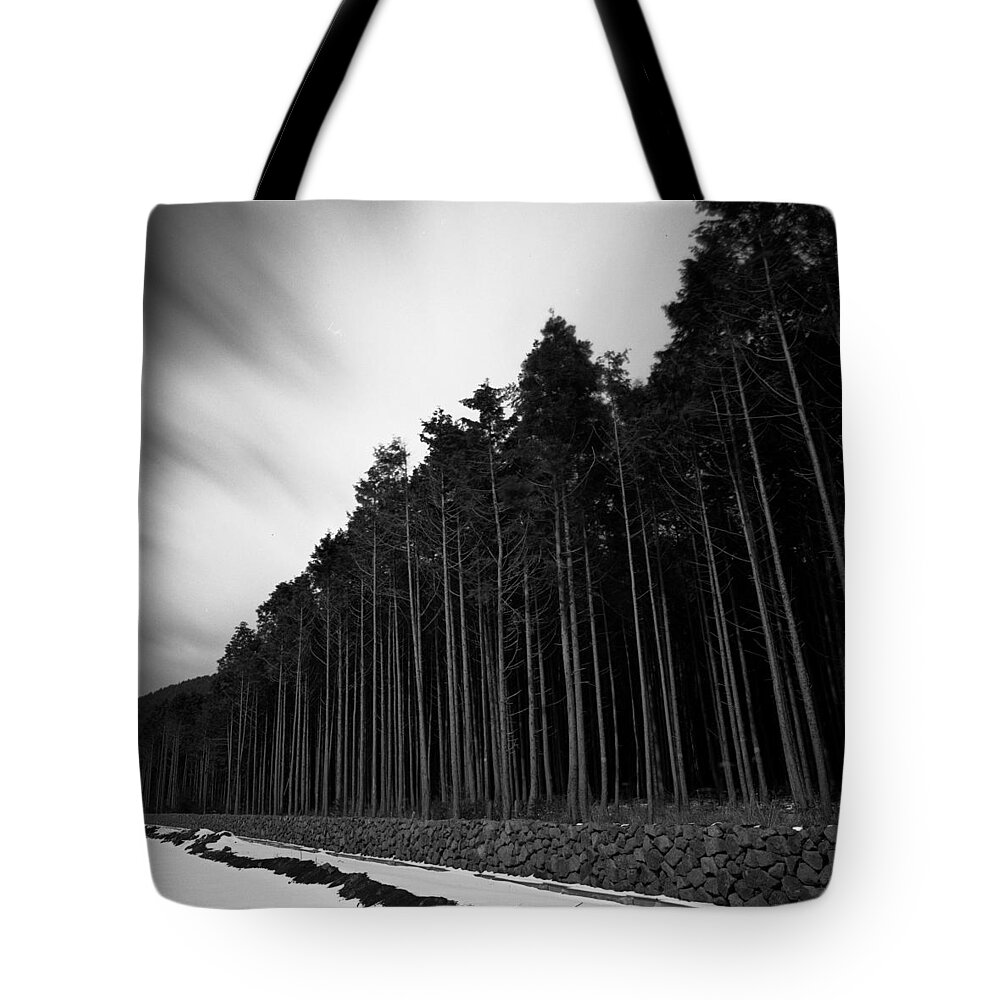 Snow Tote Bag featuring the photograph Winter Trees In Je-ju by James Inchol Shin Works