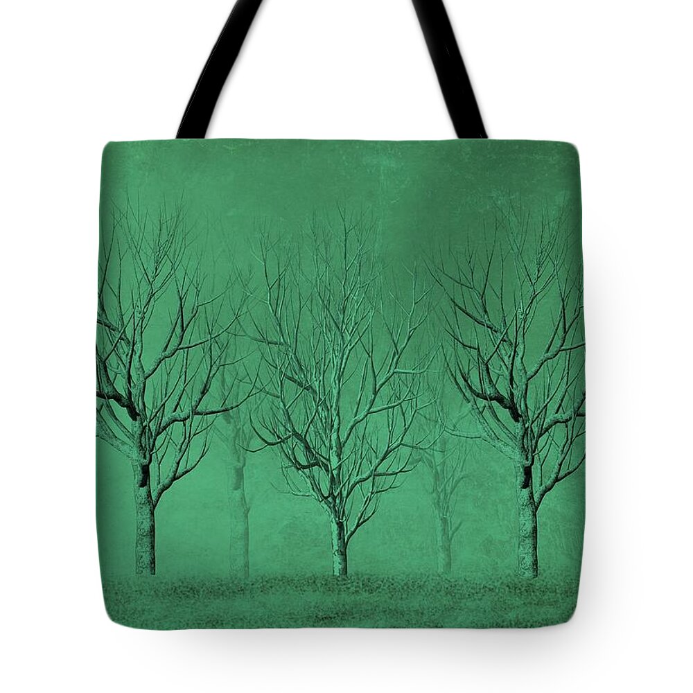 Trees Tote Bag featuring the digital art Winter Trees in the Mist by David Dehner