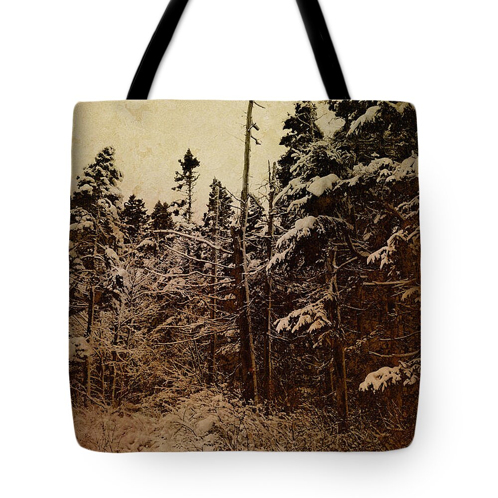 Tree Tote Bag featuring the photograph Winter Trees by WB Johnston