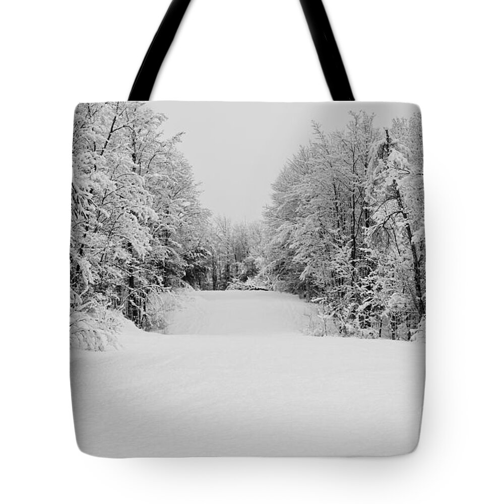 Winter Tote Bag featuring the photograph Winter Walk by Brenda Giasson