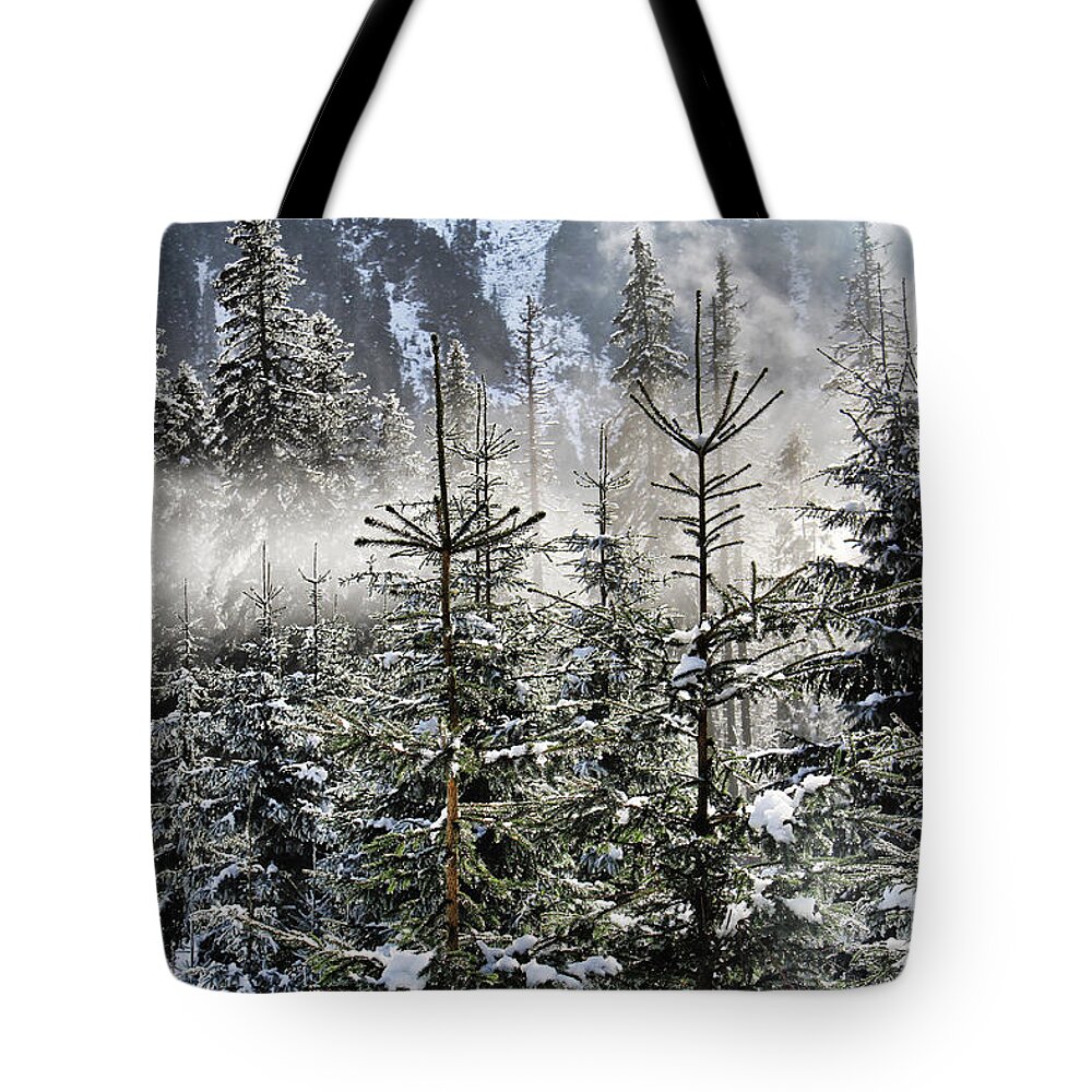 Mariola Bitner Tote Bag featuring the photograph Winter Wonderland by Mariola Bitner