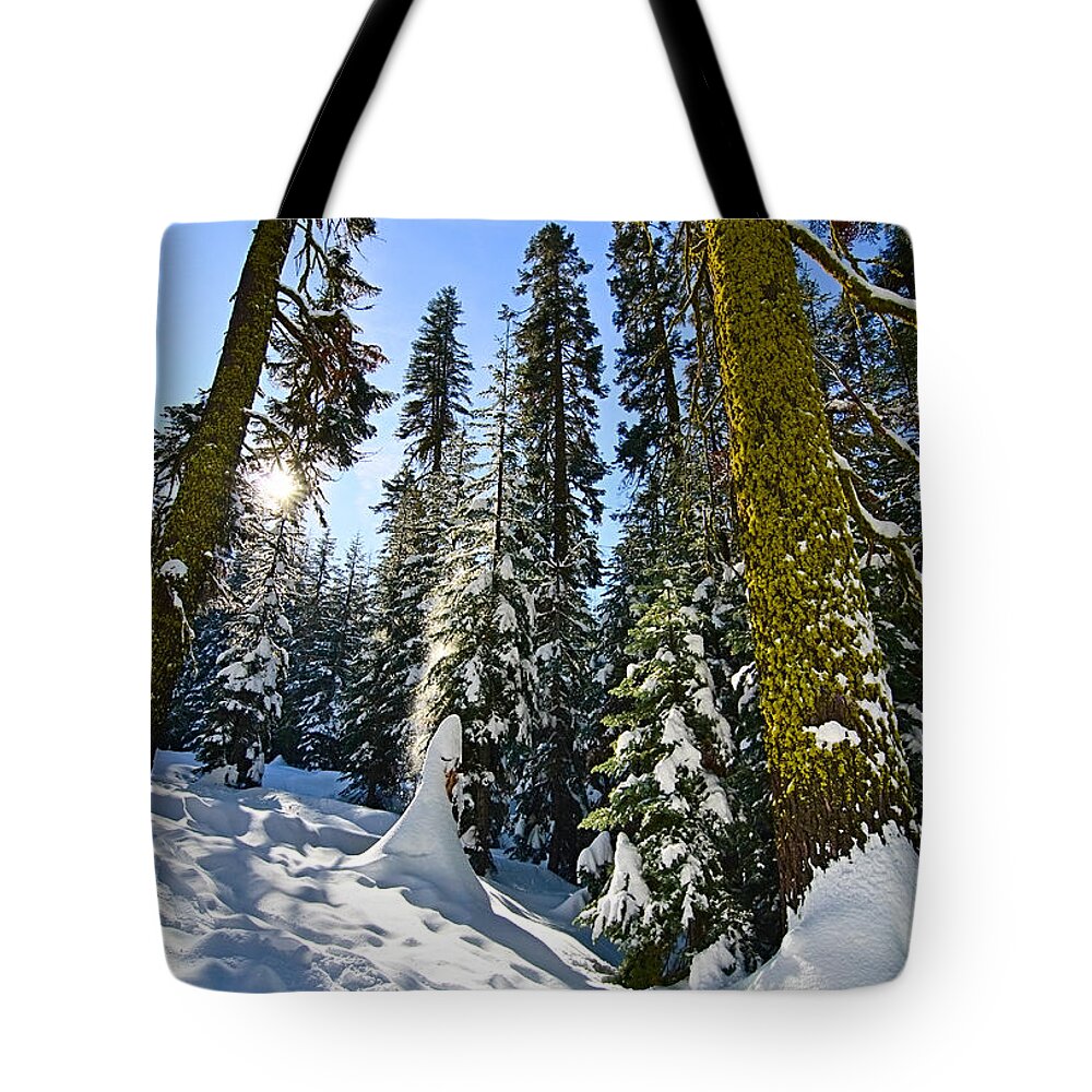 Forest Tote Bag featuring the photograph Winter Wonderland of Badger Pass in Yosemite National Park by Jamie Pham