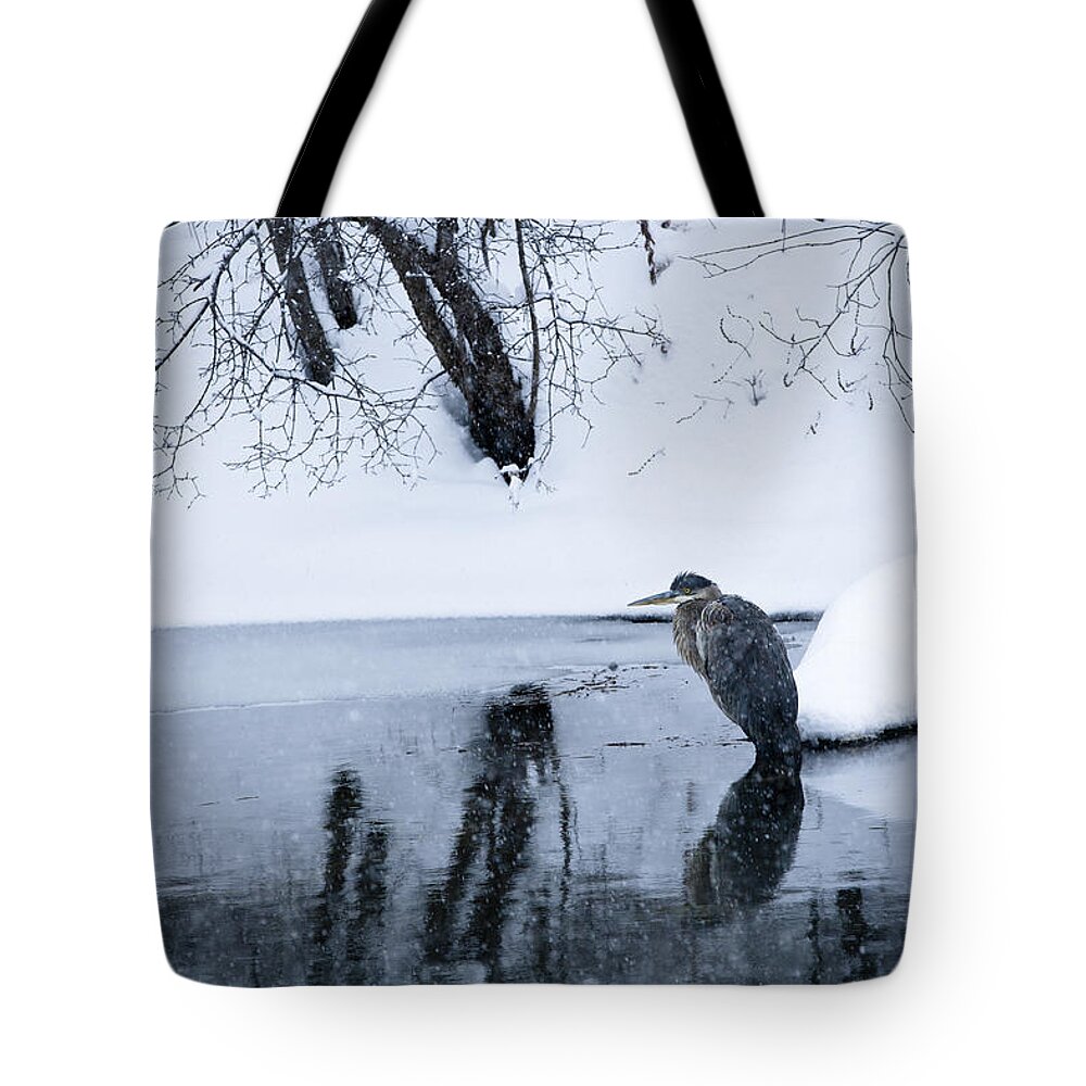 Great Tote Bag featuring the photograph Wintering Heron by Roger Bailey