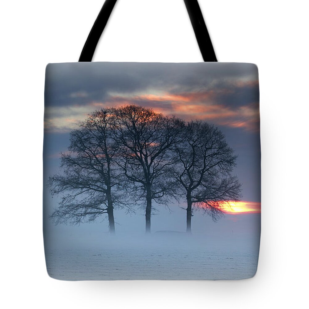 Scenics Tote Bag featuring the photograph Winterlandscape by Dewollewei