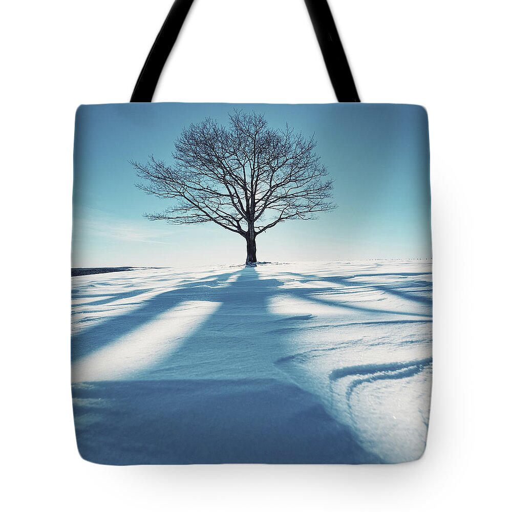 Scenics Tote Bag featuring the photograph Winters Silhouette by Shaunl