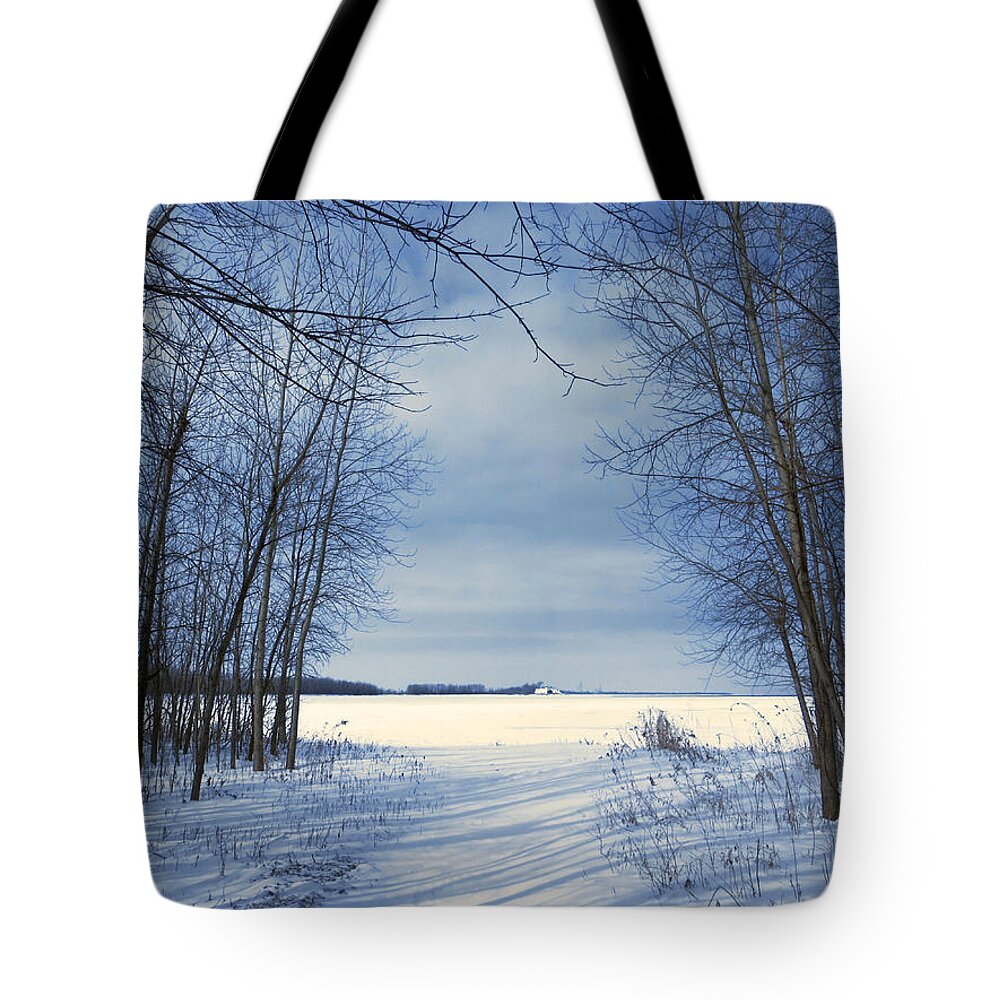 Snow Tote Bag featuring the photograph Wintertime at Sheldon Marsh by Shawna Rowe