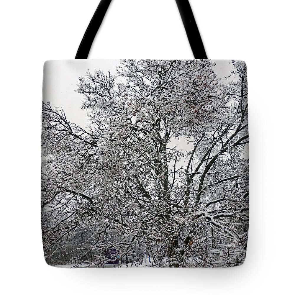 Winter Tote Bag featuring the photograph Wintery 1 by Pema Hou