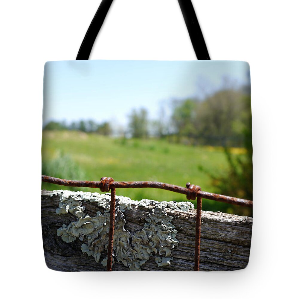 Wire Tote Bag featuring the photograph Wire and Lichen by Richard Reeve