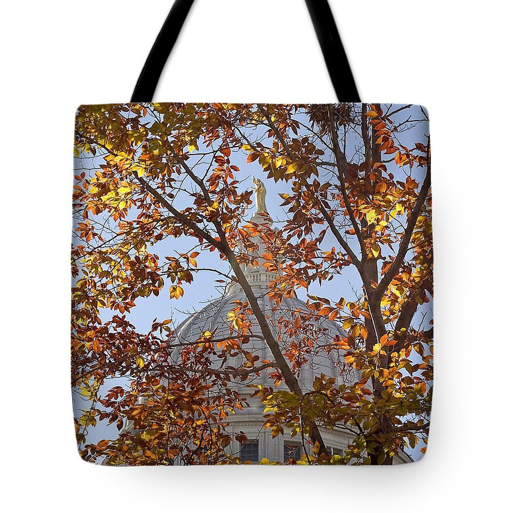 Capitol Tote Bag featuring the photograph Wisconsin Capitol by Steven Ralser