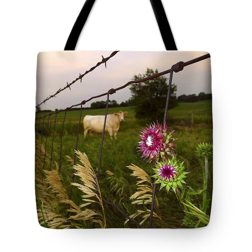Cow Tote Bag featuring the photograph Wisconsin Evening by Viviana Nadowski