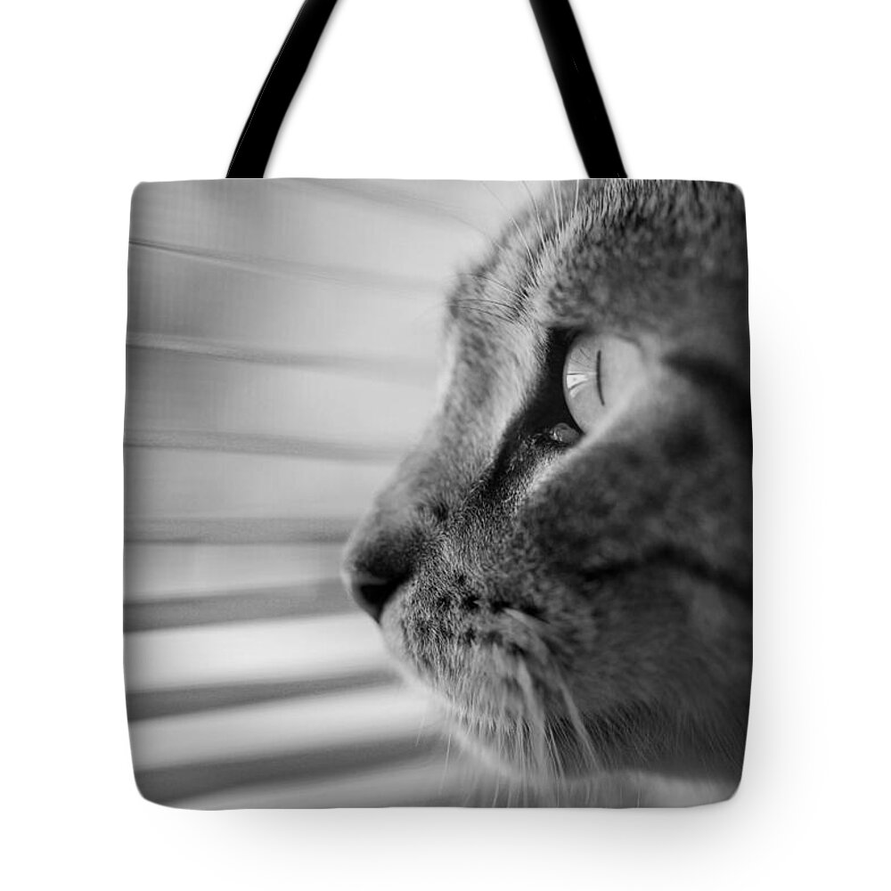 Cat Tote Bag featuring the photograph Wishful Thinking by Shirley Radabaugh