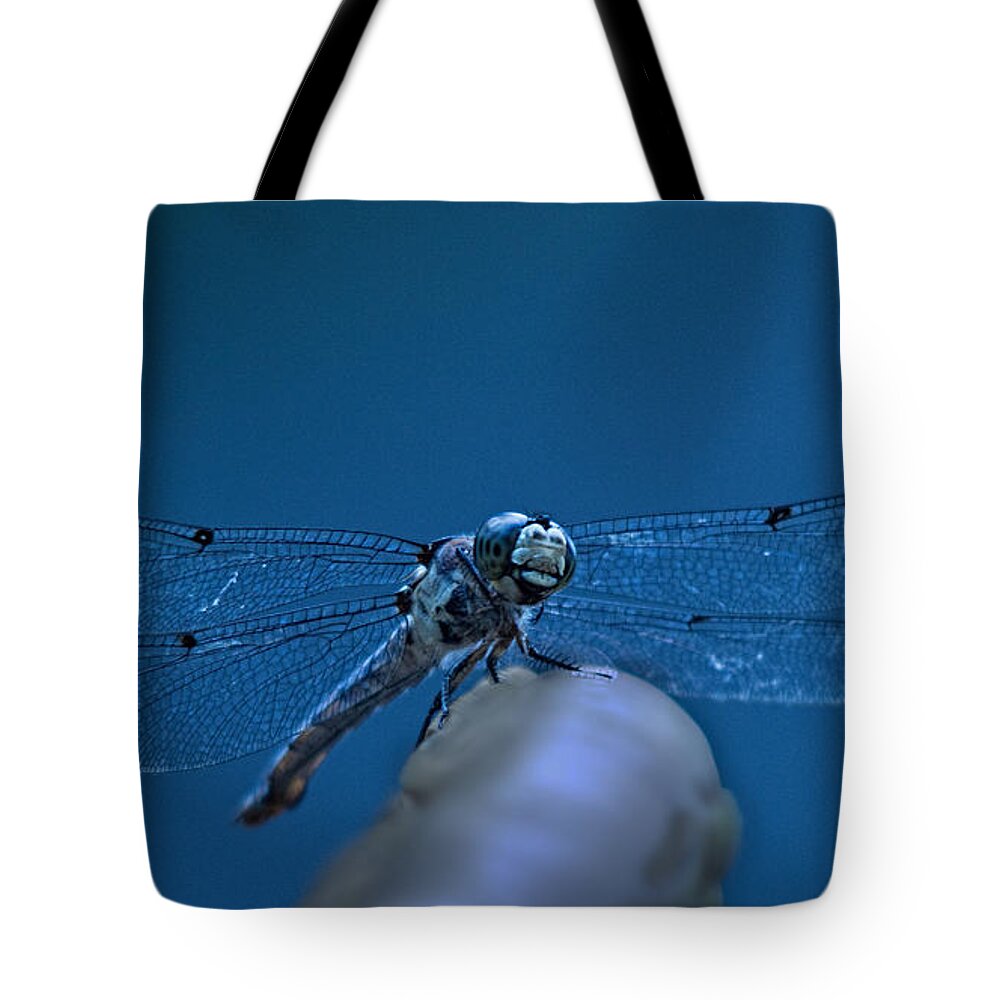 Jemmy Archer Tote Bag featuring the photograph With a Broken Wing by Jemmy Archer