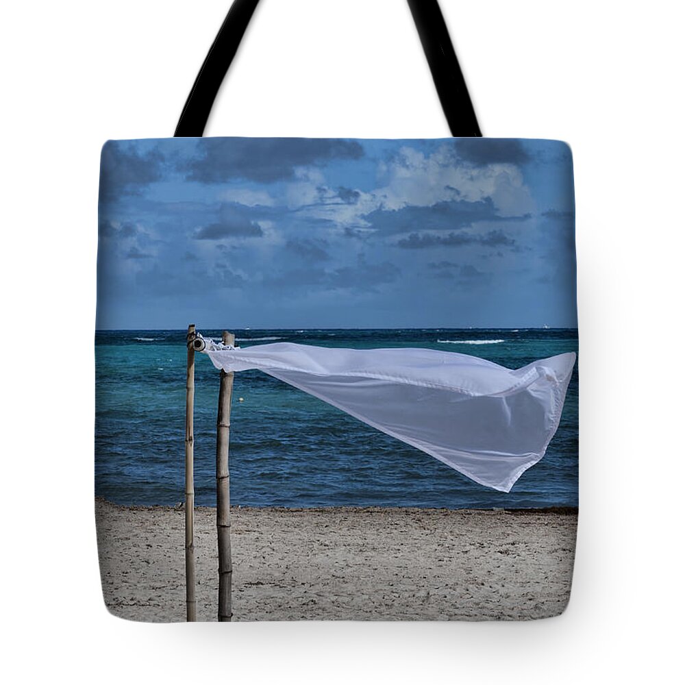 Cotton Tote Bag featuring the photograph With The Wind by Judy Wolinsky