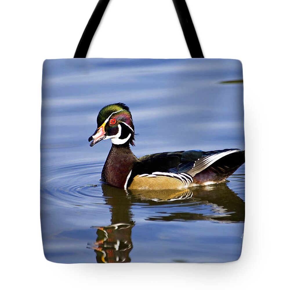 Wood Tote Bag featuring the photograph Wood Duck - D008582 by Daniel Dempster