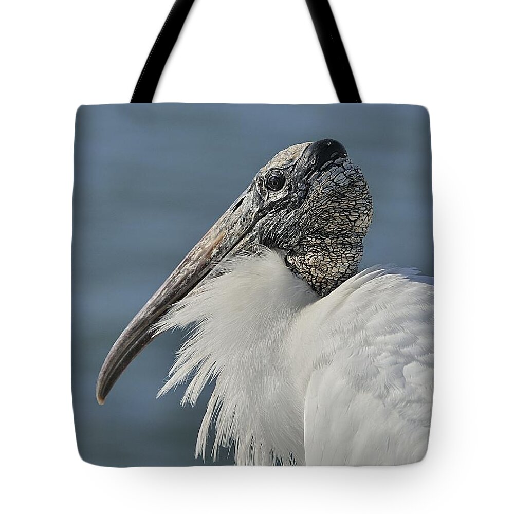 Wood Stork Tote Bag featuring the photograph Wood Stork Portrait by Bradford Martin