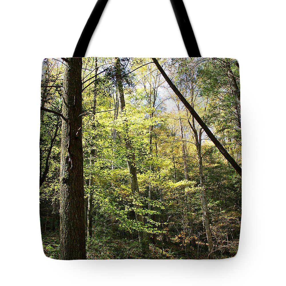 Woods Tote Bag featuring the photograph Woods by Karen Adams