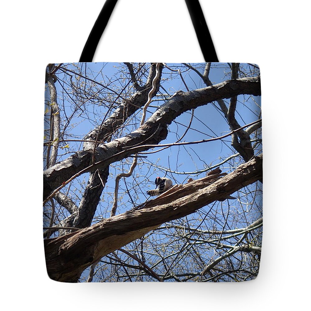 Nature Tote Bag featuring the photograph Woody by Robert Nickologianis