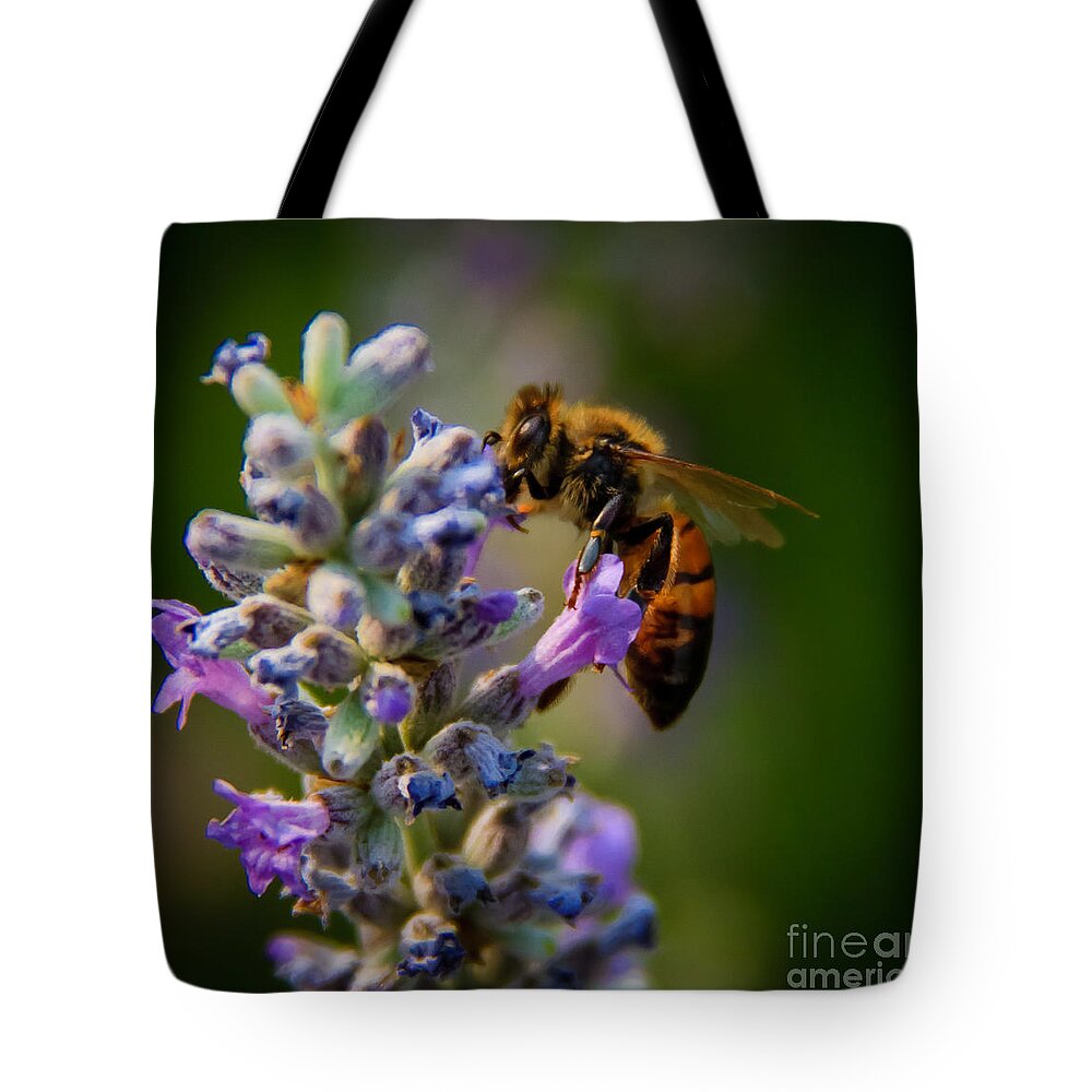 Animals Tote Bag featuring the photograph Worker Bee by Robert Bales