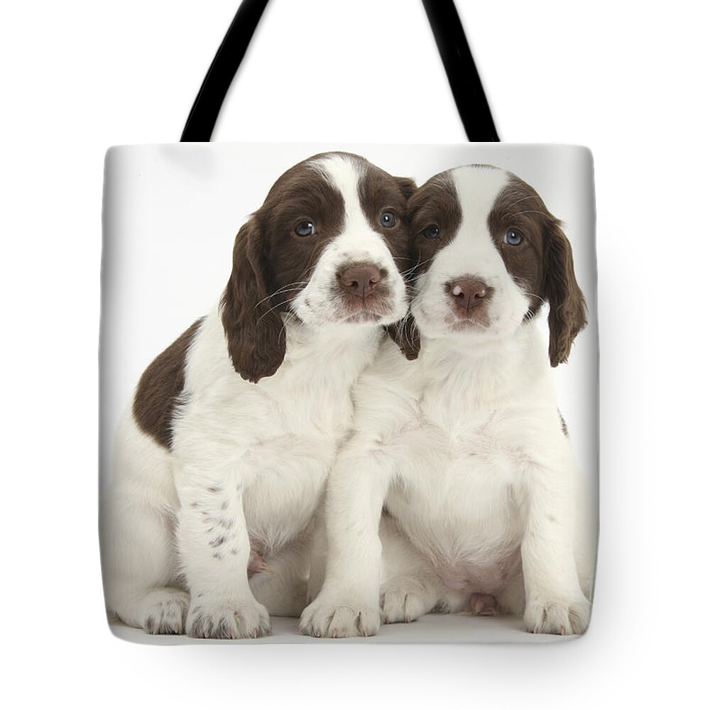 Working English Springer Spaniel Puppy Tote Bag featuring the photograph Working English Springer Spaniel Puppies by Mark Taylor