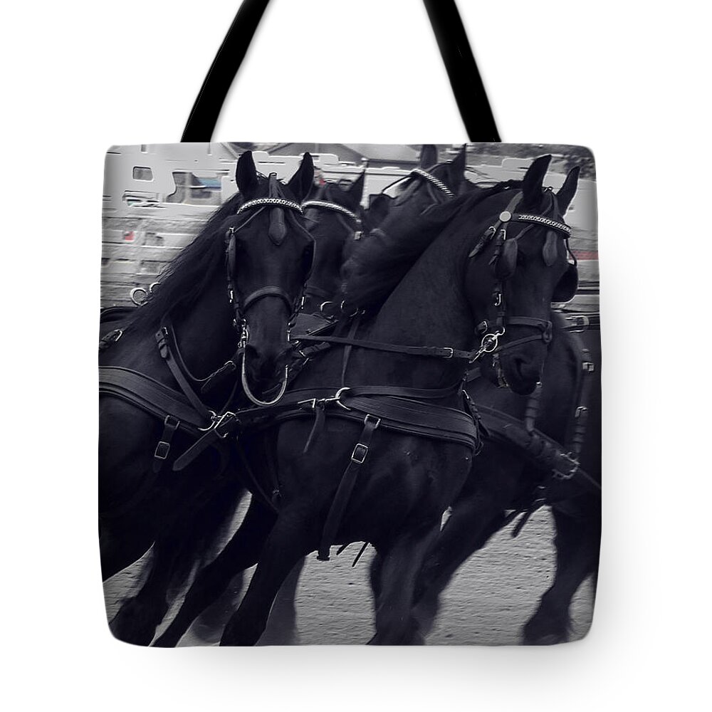 Friesians Tote Bag featuring the photograph Working Hard by Kae Cheatham