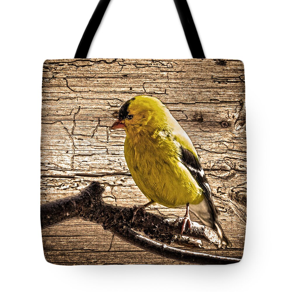 Wormy Wood Background Tote Bag featuring the photograph Wormy Wood American Goldfinch by Randall Branham