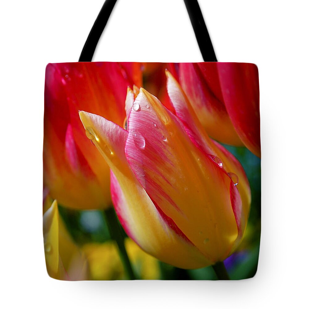 Tulips Tote Bag featuring the photograph Yellow and Pink Tulips by Rona Black