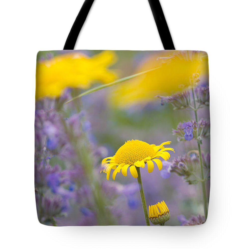 Yellow Tote Bag featuring the photograph Yellow and purple flowers on a green summer meadow by Matthias Hauser